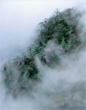 撮影地：栃木県・日光市