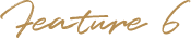 feature6