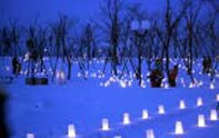 新潟県長岡市・雪しか祭り 