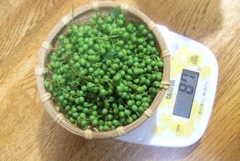 87g