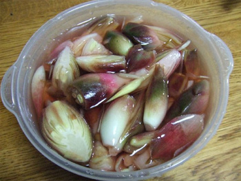 茗荷
