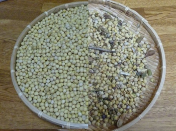 良品が２Kg