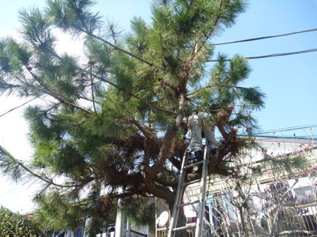 お手伝い