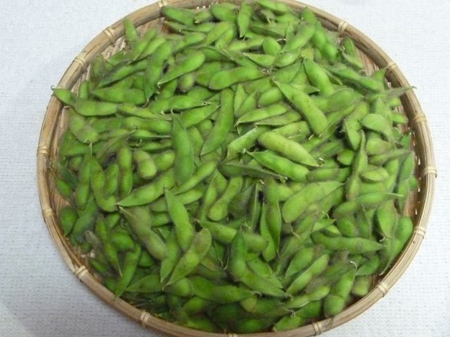 大豆