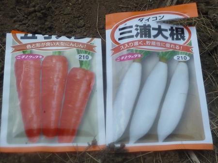 種