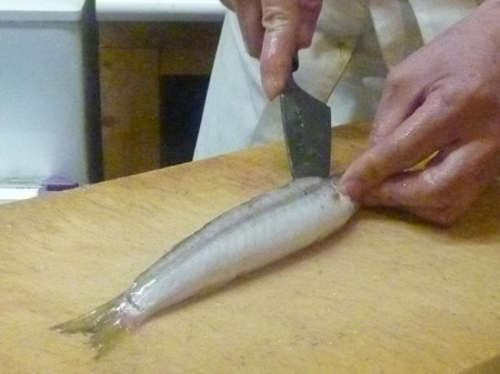 カマス