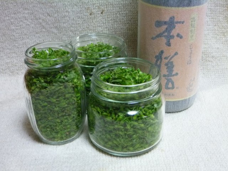 紫蘇