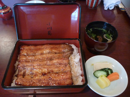 鰻