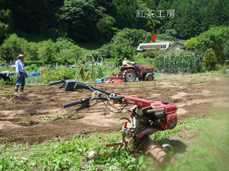 檜原村下川乗地区