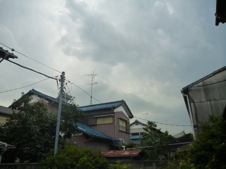柚子胡椒