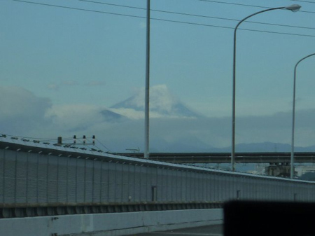 残った除草
