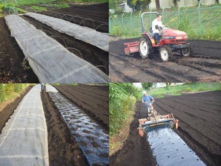 霧に包まれて