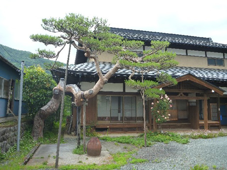 青根蕎麦畑の手入れ