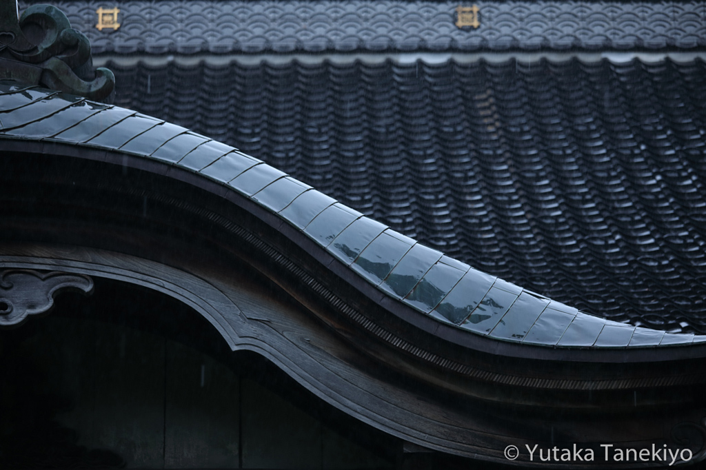 雨の金沢 4