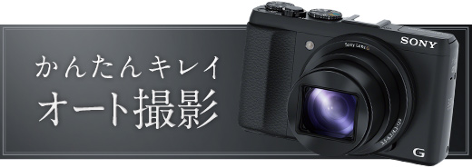 暗いシーンでも、とびきりキレイに撮れる「プレミアムおまかせオート」