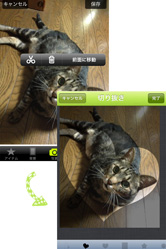 背景と写真を選んでスクラップブックを作りましょう！