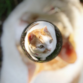 可愛くておしゃれな宙玉写真ができました！