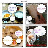 TwitterやFacebook、Instagramで共有できます!