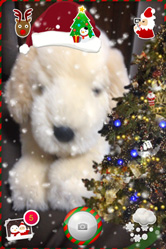 クリスマスアイテムを賑やかに配置！