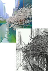 本物のスケッチのような写真ができました！