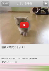 動画は毎日更新!